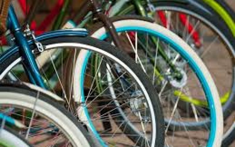 2 Suspected Bicycle Thieves Arrested by Special Operations Unit