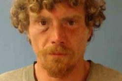 OFFICER ASSAULTED, SUSPECT DETAINED