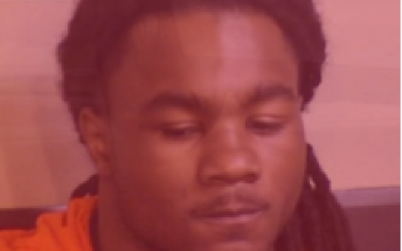 Double homicide Suspect In Custody