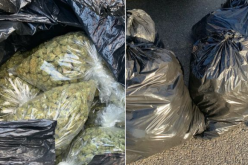 100 pounds of marijuana seized, two arrested
