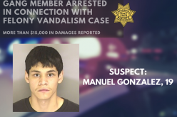 Man defaces hand-painted mural with graffiti