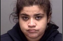 Suspect Arrested in Stolen Vehicle￼