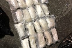 20 pounds of meth seized, two arrested in Bakersfield