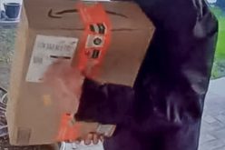 Suveillance footage leads to package thief’s arrest