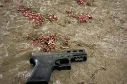 Adult and three juveniles in a car with a gun