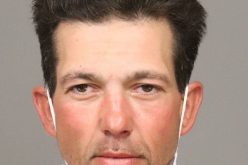 Great Teamwork Captures Another Car Thief