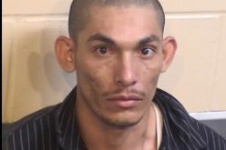 DRUG SEIZURE AND ARREST IN FRESNO