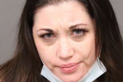 Catalytic converter gang of three thieves arrested