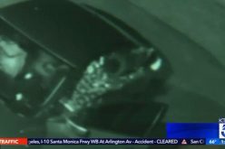 Toddler Caught in the Crossfire – Two Sentenced For Life