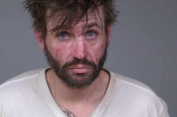 McKinleyville car prowler arrest