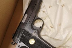 Domestic Violence Suspect Arrested