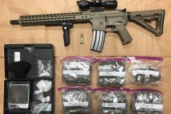 Firearm and Assault arrest after vandalism investigation