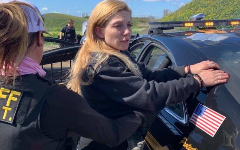 Seven-mile pursuit ends on a dead-end road