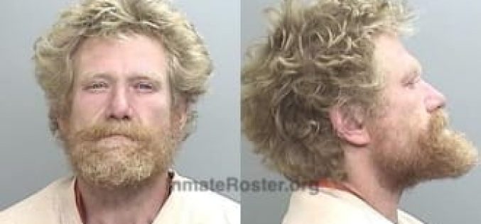 Man steals, crashes car, released with no bail