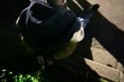 Man with warrant tries to hide and flee