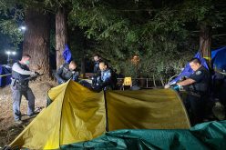 Attempted Homicide Arrest