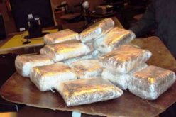 Border Patrol Agents Nab Meth Traffickers – Thwarted on the I-10 Highway