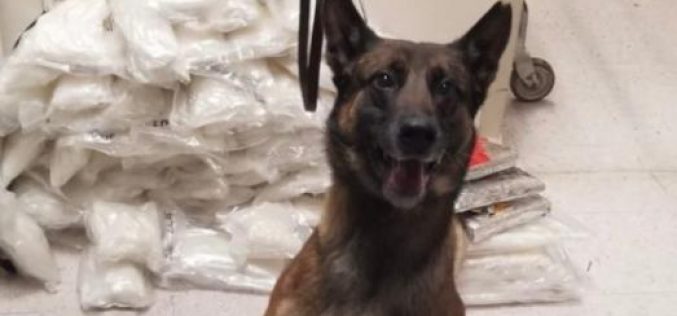 Border Patrol Agents Thwart Deadly Narcotics Smuggling Attempt Through Checkpoint