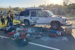 Man drives with 3 dead dogs in his truck