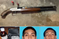Two parolee brothers arrested with gun and drugs