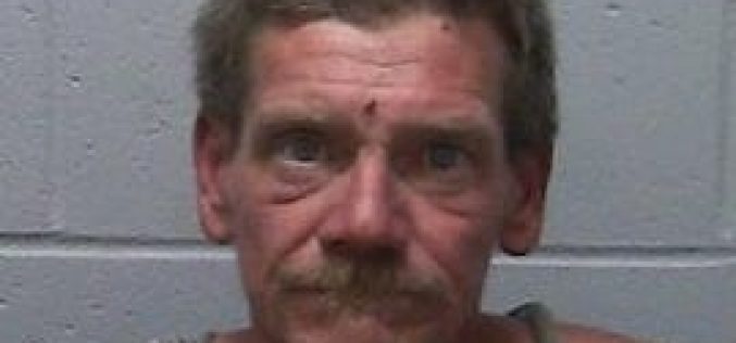 Auto theft, vandalism and other charges