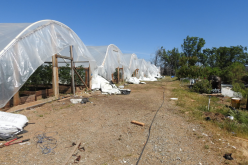 Calaveras County Sheriff’s Office Marijuana Team Recap May 5th and 6th 2021