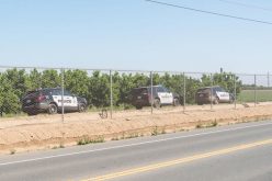 Man Arrested after an Automated License Plate Reader Detects a Stolen Car