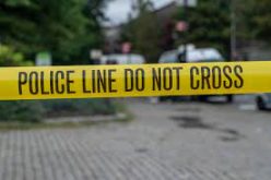 Arrested at the Border – Smuggling-Event Suspect Discovered Wanted for Homicide