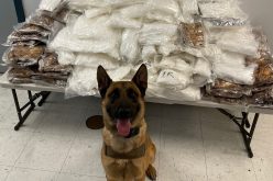 Four duffle bags of meth