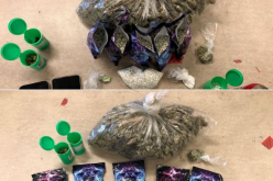 Juvenile arrested with cache of various drugs