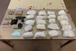 Two arrested in gunfire incident