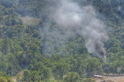 Domestic violence, suspicious fire, released on citation