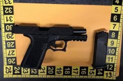 ANOTHER DAY ANOTHER GUN