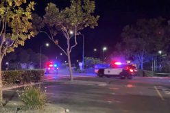 SMPD Arrests One Suspect After Vehicle Pursuit and Suspect Flight Into Pond