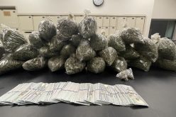 VEHICLE STOP LEADS TO NARCOTICS ARRESTS