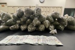 VEHICLE STOP LEADS TO NARCOTICS ARRESTS