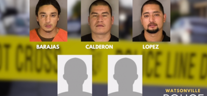 Five gang members arrested in connection with attacks