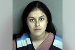 Amazon Delivery Driver Arrested after an Elderly Woman is Assaulted