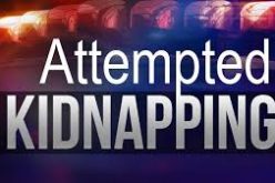 Man tries to grab 16-year-old girl