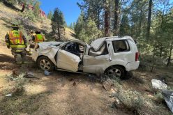 Woman dies in high speed DUI crash