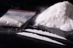 1.5 pounds of cocaine seized in search warrant