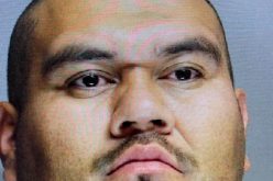 TRAFFIC STOP BECOMES HIGH SPEED VEHICLE PURSUIT