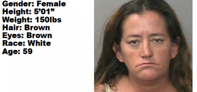 Active warrant for woman wanted for drug sales