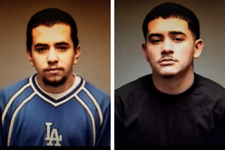 Pair Arrested for Firearm Related Charges