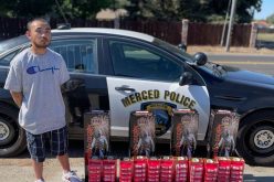 Gang Member arrested by Gang Unit with ammunition and illegal fireworks