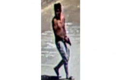 Man arrested in Monterey after allegedly brandishing pellet gun