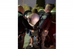 Man taken into custody after allegedly tearing car interior apart while under influence of narcotics