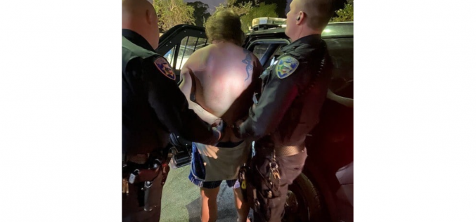 Man taken into custody after allegedly tearing car interior apart while under influence of narcotics