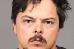 Felony Arrest for Gun Charges