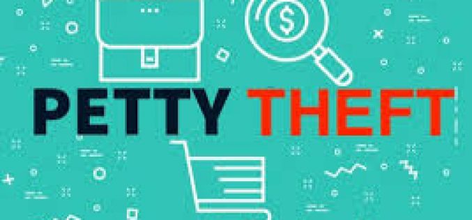 Fleeing Shoplifting Suspect Finds Trouble in Multiple Jurisdictions